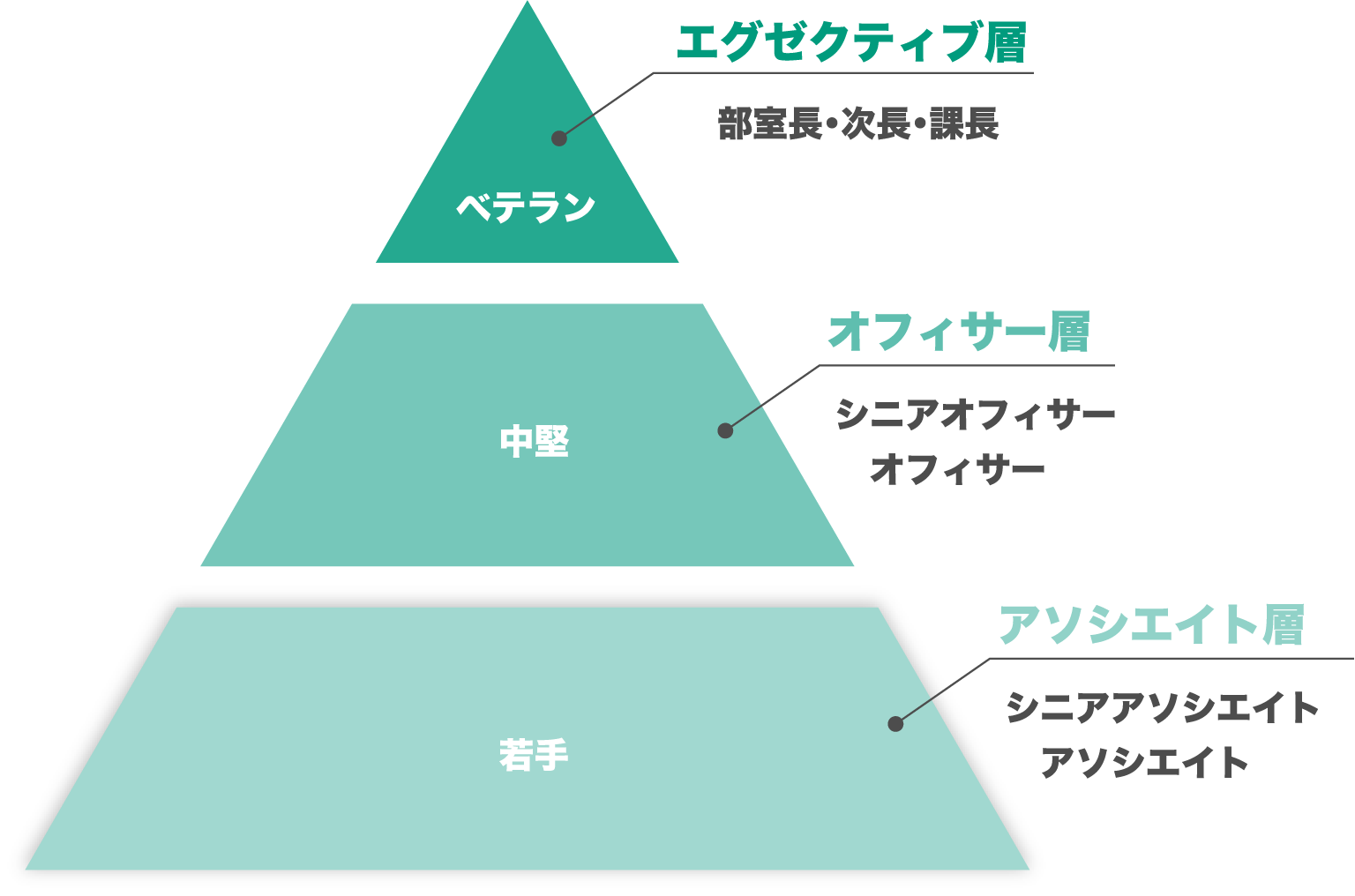 エグゼクティブ層 部室長・次長・課長 ベテラン オフィサー層 シニアオフィサー　オフィサー 中堅 アソシエイト層 シニアアソシエイト　アソシエイト 若手