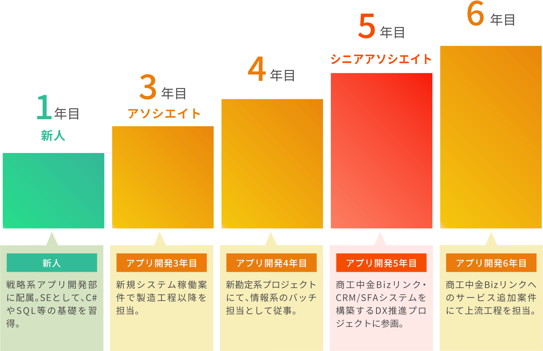 これまでのキャリア