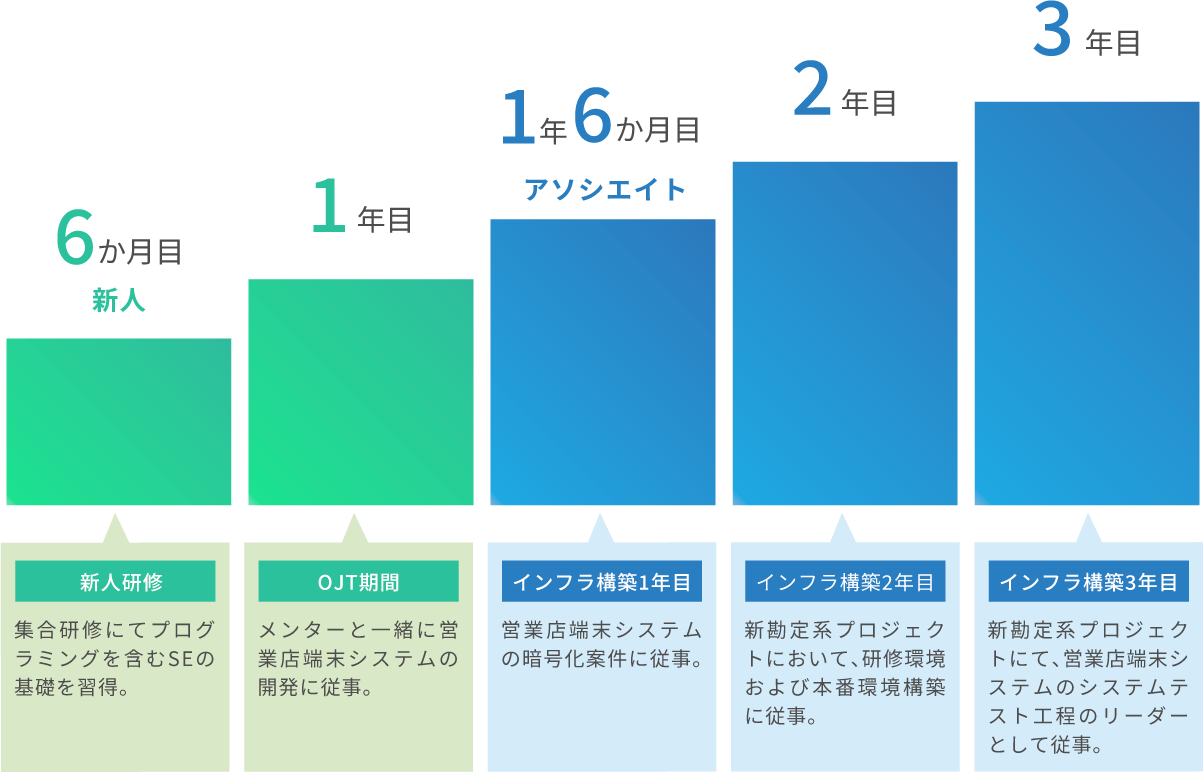 これまでのキャリア